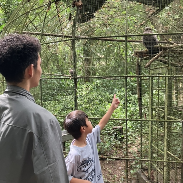 動物園のケージ内にいる鳥を指さして観察する子どもと大人